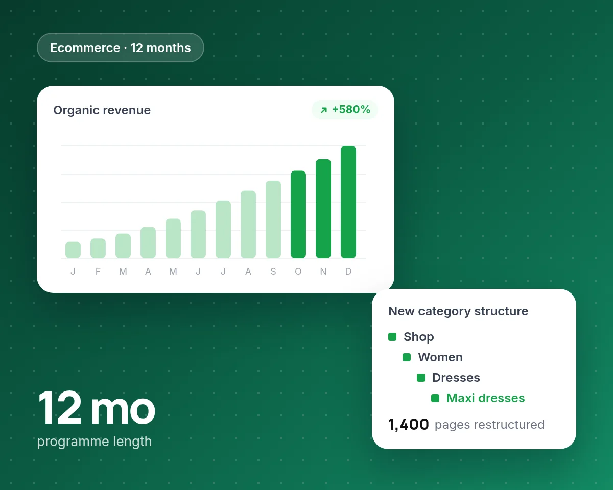 Ecommerce case study: organic revenue up 580% over 12 months after a category rebuild