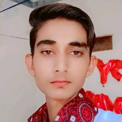 Ali Hamza SEO Executive