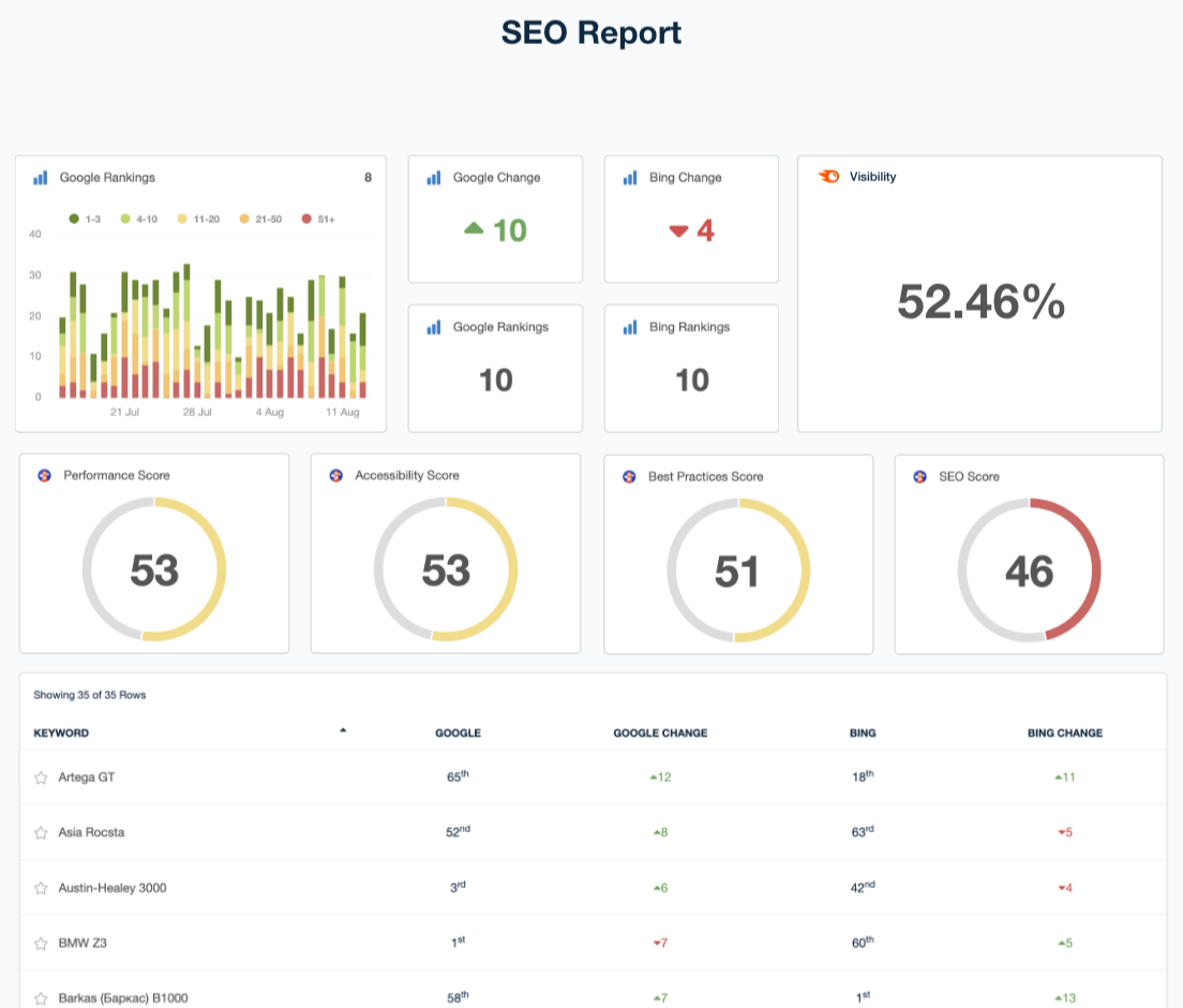 SEO expert working on website optimization and rankings